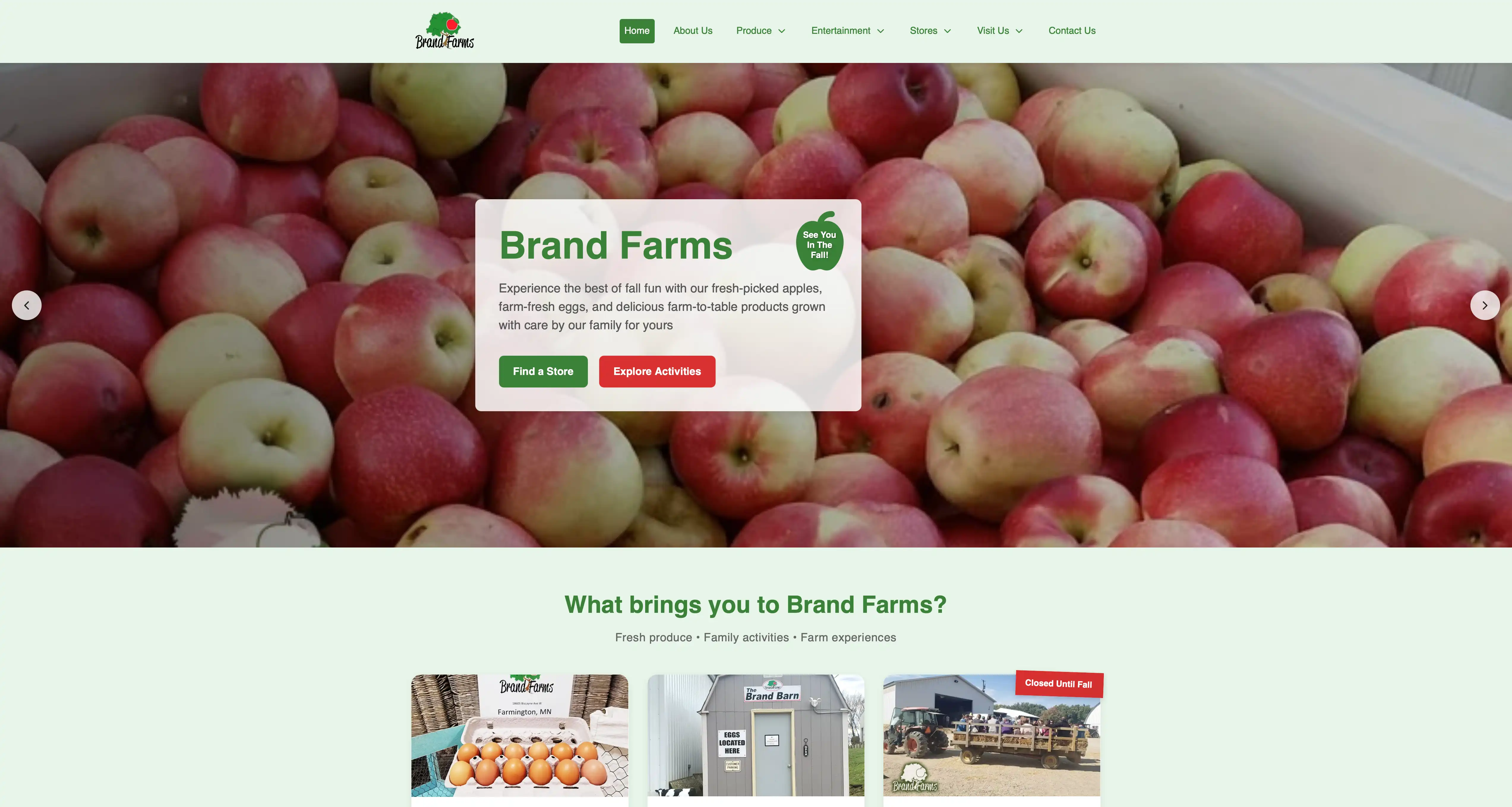 Screenshot of Brand Farms Website website - Business Information Website project by Visser Analytics