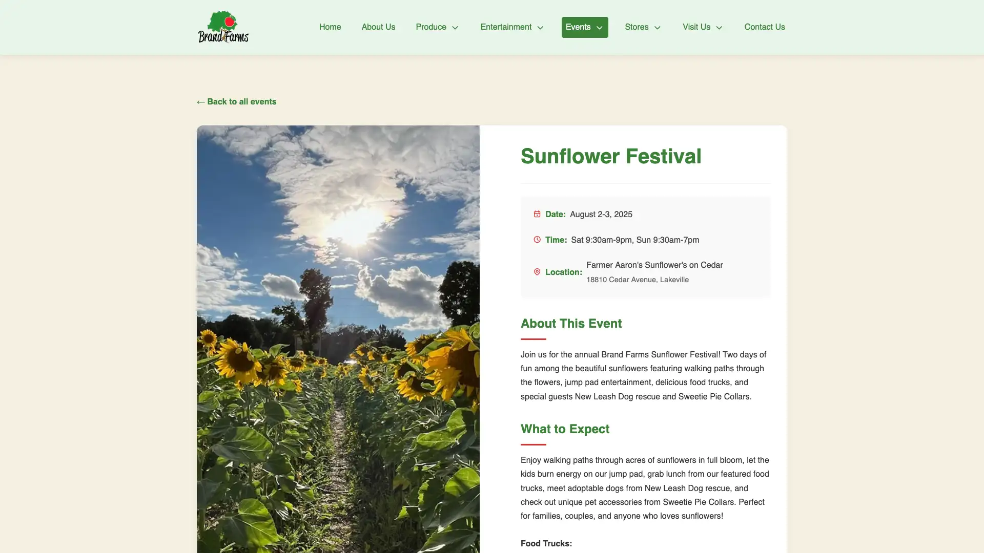 Sunflower Festival Page Thumbnail