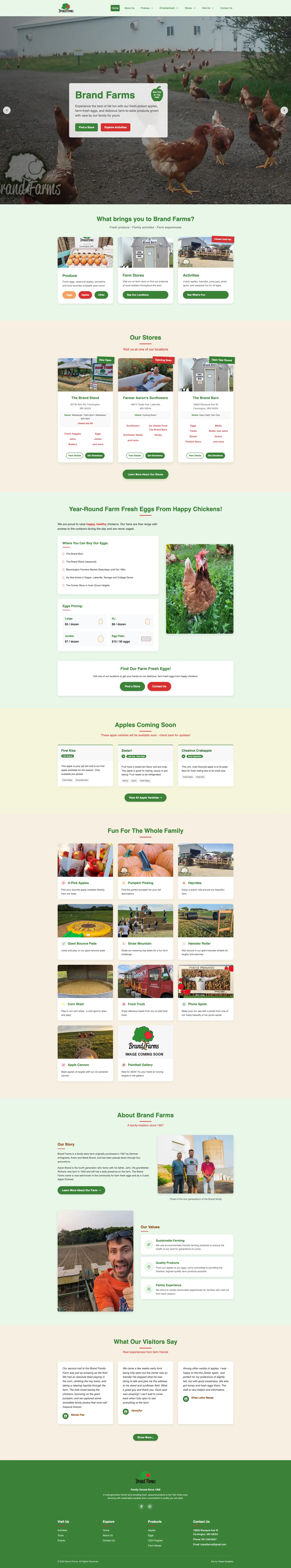 Homepage Screenshot - Website Design by Visser Analytics