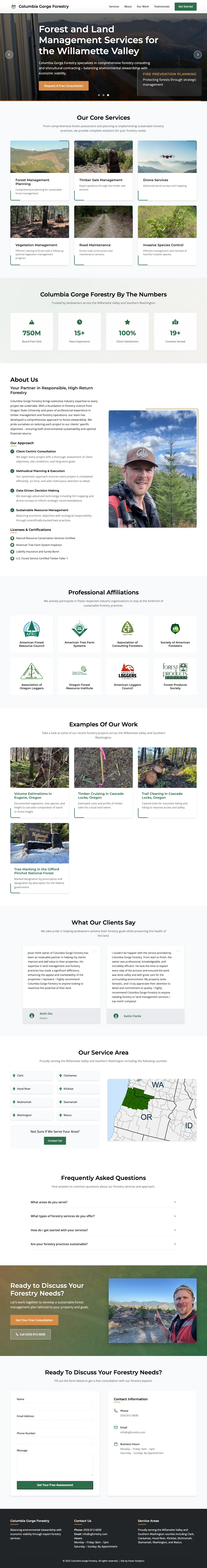 Homepage Screenshot - Website Design by Visser Analytics