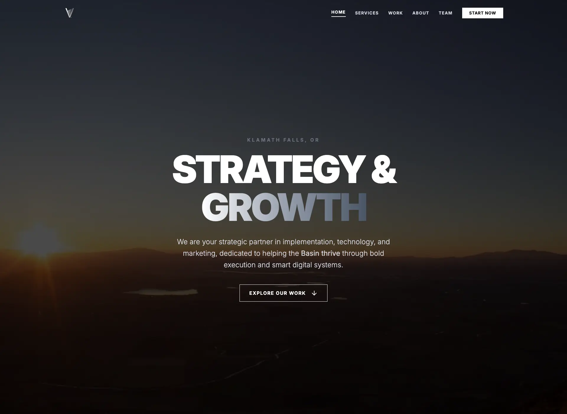 Screenshot of A Marketing Agency Site That Reads Like a Marketing Agency website - Marketing Agency Website project by Visser Analytics