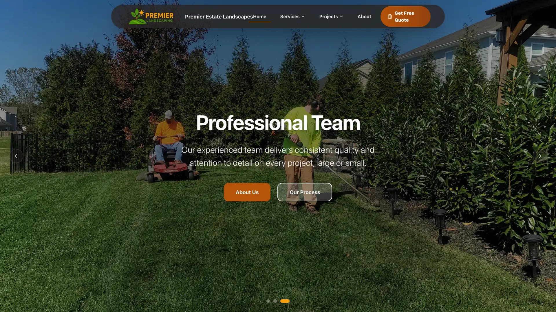 Homepage Page Thumbnail - Website Design by Visser Analytics